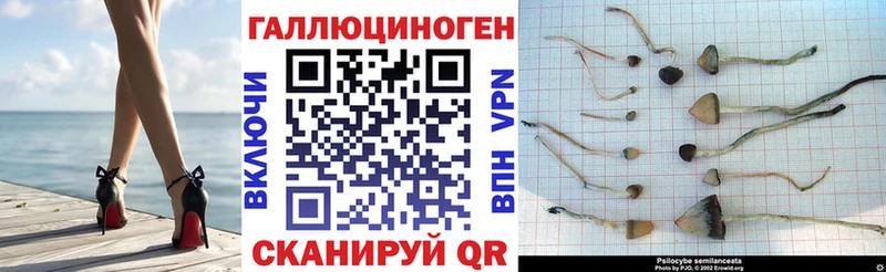 Псилоцибиновые грибы ЛСД  МЕГА ссылки  Когалым 