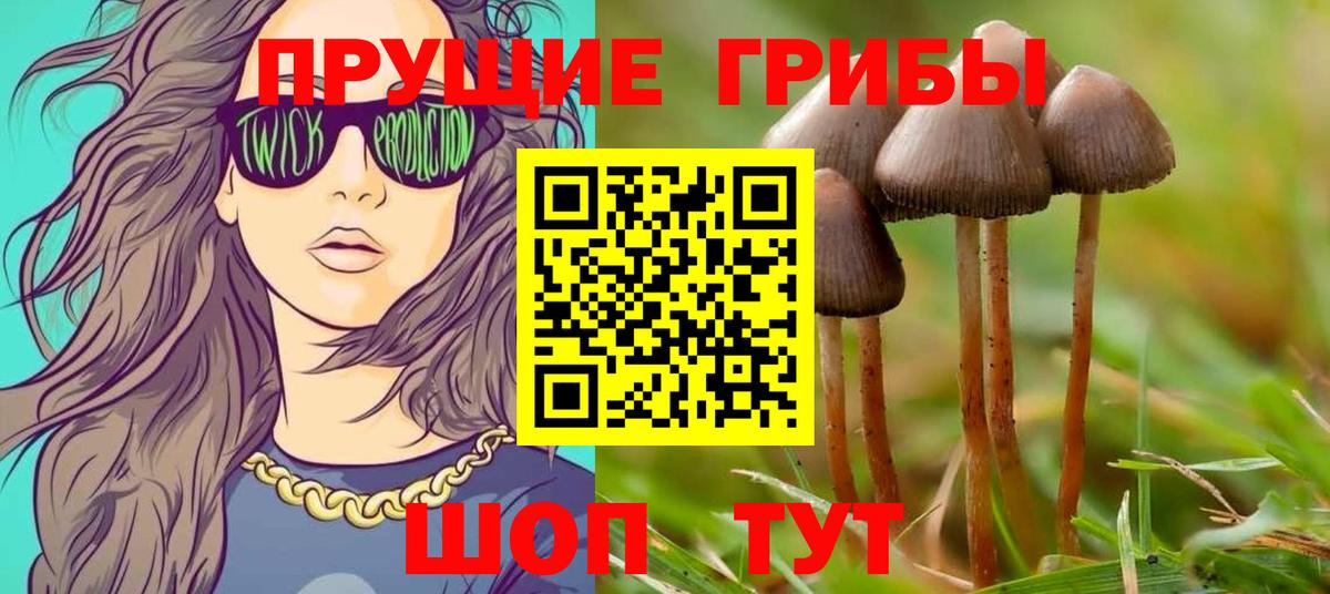 Когалым  Псилоцибиновые грибы MAGIC MUSHROOMS  Галлюциногенные грибы Psilocybine cubensis  Вход с VPN 